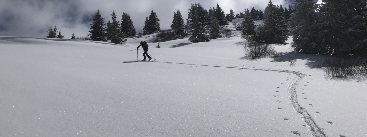 Les frères Blanc